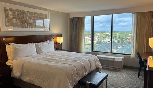 Room, 1 King Bed, Non Smoking (High Floor, West View)