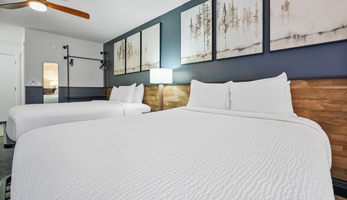  Pet-friendly 2 Queen Room