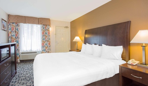 Standard Room, 1 King Bed, Accessible, Refrigerator & Microwave (Walk-in Shower)