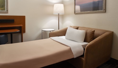 Suite, 1 King Bed with Sofa bed
