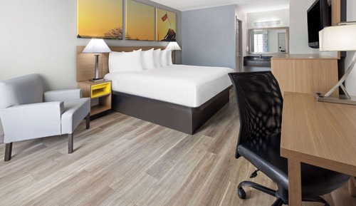 Room, 1 King Bed