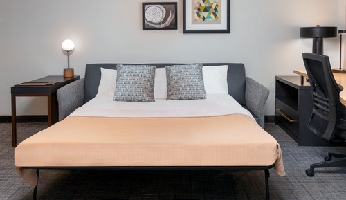 Suite, 1 Bedroom (Mobility/Hearing Access, Roll-in Shwr)