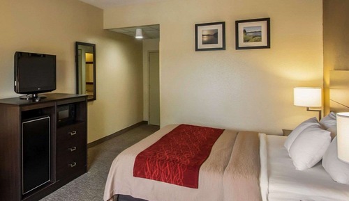 Standard Room, 1 King Bed, Non Smoking