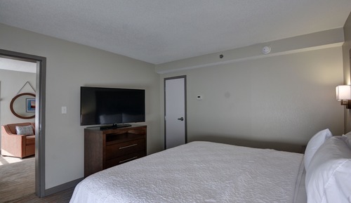 Suite, 1 King Bed, Accessible, Non Smoking