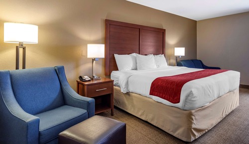 Room, 1 King Bed, Non Smoking