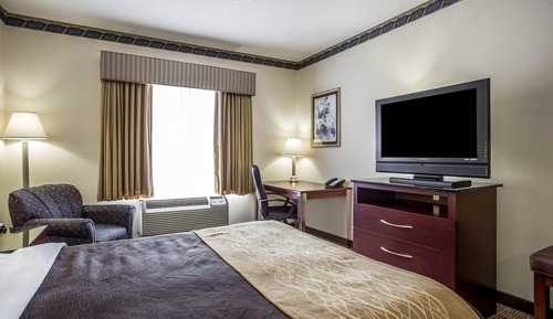 Room, 1 King Bed