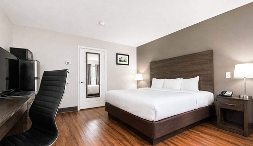 Room, 1 King Bed, Accessible
