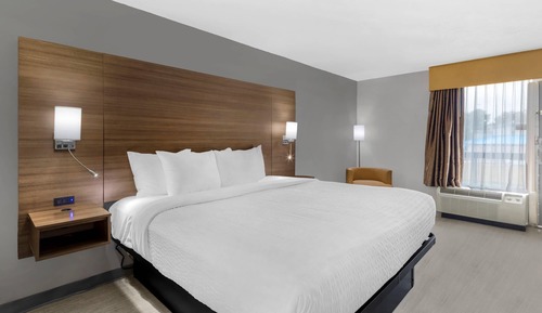 Standard Room, 1 King Bed, Non Smoking