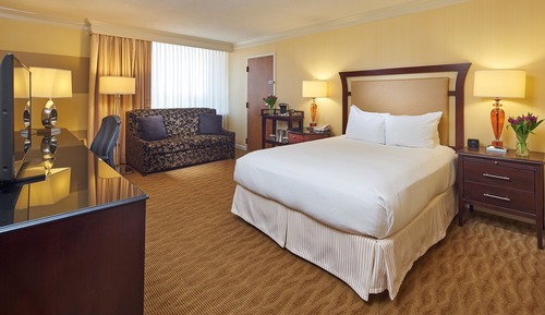 Room, 1 Queen Bed with Sofa bed