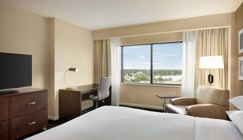 Room, 1 King Bed (High Floor)