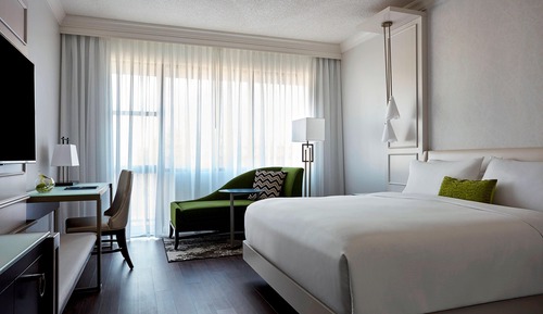 Room, 1 King Bed