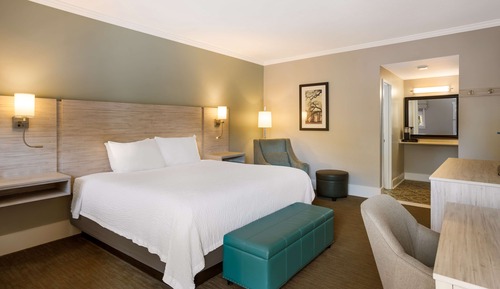 Standard Room, 1 King Bed, Accessible, Bathtub