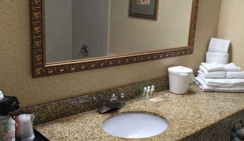 Standard Room, 1 King Bed, Accessible (Mobility Roll-In Shower)