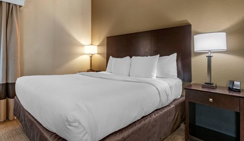 Standard Room, 1 King Bed, Non Smoking