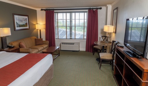 Room, 1 King Bed, Non Smoking