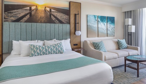 Standard Room, 1 King Bed with Sofa bed