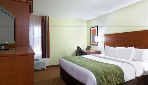 Room, 1 King Bed, Accessible, Non Smoking