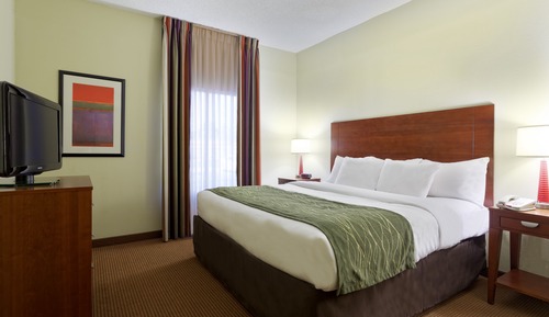 Suite, 1 King Bed with Sofa bed, Non Smoking