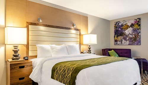 Room, 1 King Bed, Non Smoking, Bathtub (Upgrade)