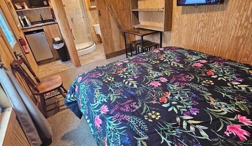Studio Suite, 1 Queen Bed, Mountain View