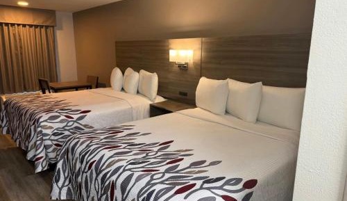 Deluxe Room with Two Queen Beds Non-Smoking