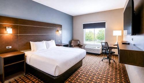 King Room with Transfer Shower - Accessible/Non-Smoking