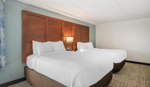 Queen Suite with One-Person Sofa Bed - Non-Smoking/Pet-Friendly