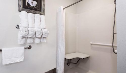 King Room with Roll-In Shower - Mobility Access/Non-Smoking