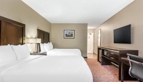 Quadruple Room with Two Queen Beds - Non Smoking