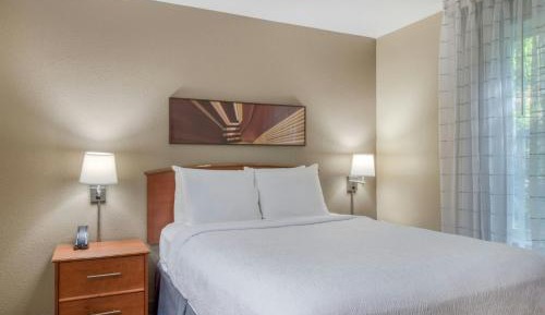 One-Bedroom Queen Suite with Sofa Bed