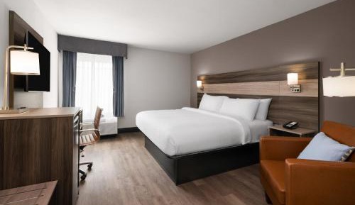 Standard King Room with Mobility Accessible Roll-In Shower