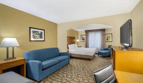 One-Bedroom King Suite with Sofa Bed - Non-Smoking