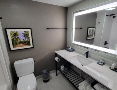 Deluxe King Room - (No Resort Fee)