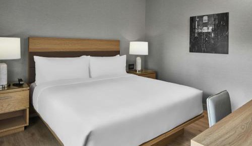 One-Bedroom King Suite with Sofa Bed