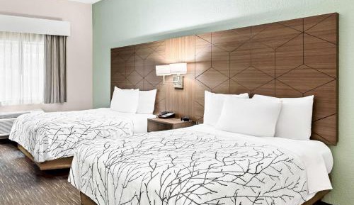 Double Room with Two Double Beds