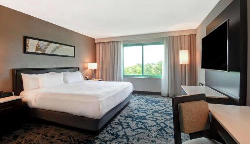 One-Bedroom King Suite - Hearing Access/Non-Smoking