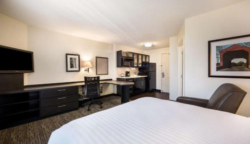 Studio Queen Suite