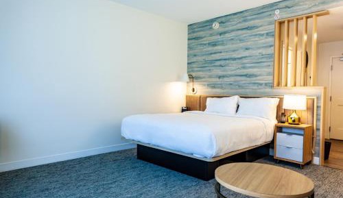 King Studio with Sofa Bed - Hearing Accessible