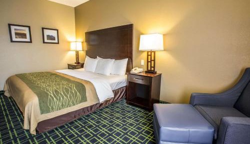 King Room with Roll-In Shower - Accessible/Non-Smoking