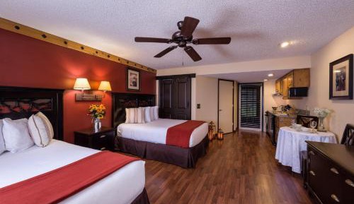 Deluxe Lodge Suite