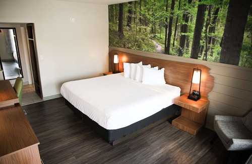 McMinnville Hotel | The Inn At Tree City, BW Signature Collection