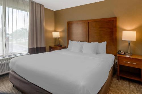 Comfort Inn & Suites Peachtree Corners - Norcross